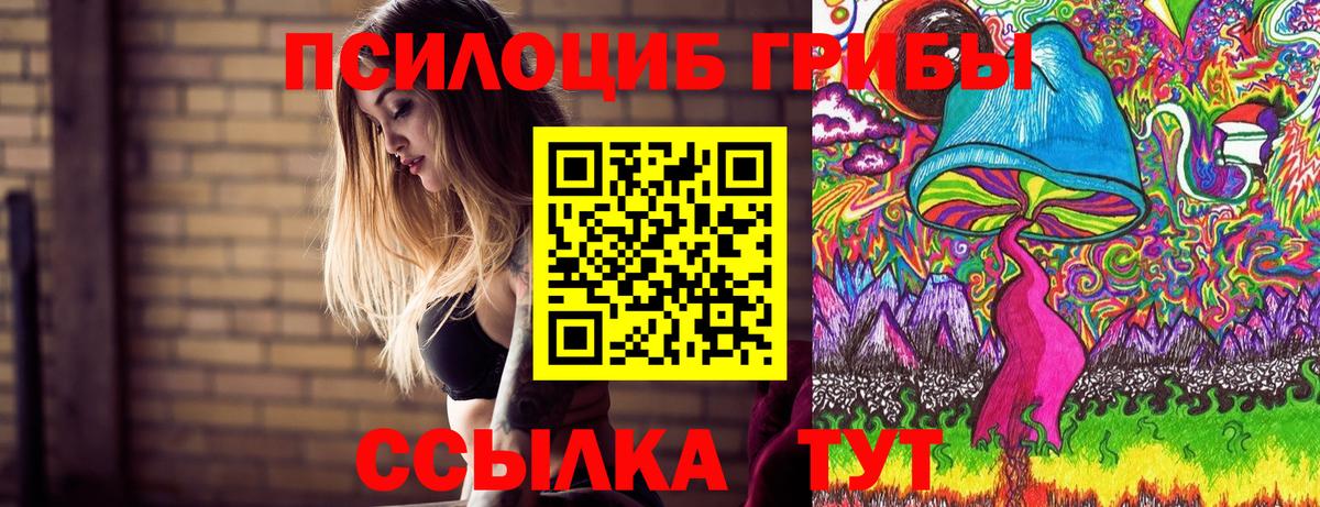 Псилоцибиновые грибы GOLDEN TEACHER  Вход с VPN  Якутск 