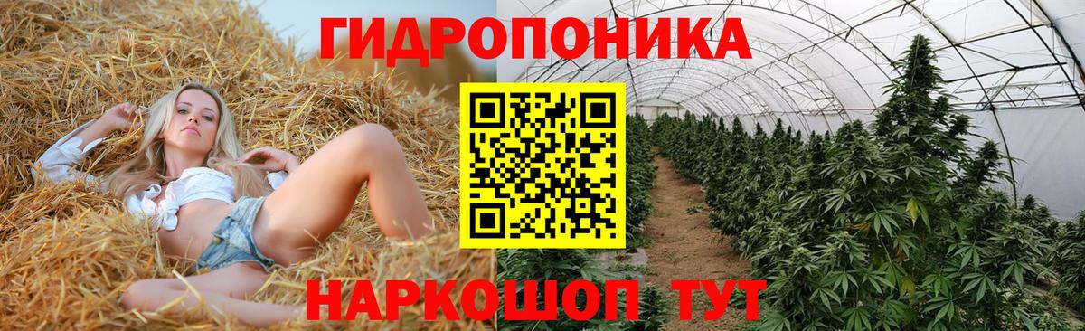 Бошки марихуана SATIVA & INDICA Якутск